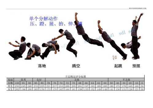 体育运动项目有哪些?