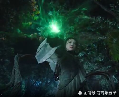 半妖司藤剧情，半妖司藤剧情内容