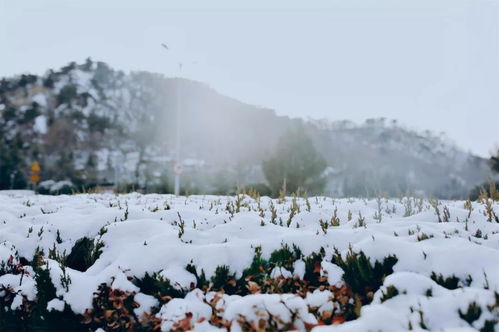 回雪，回雪流风