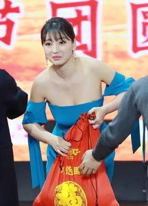 柳岩是怎么出道的?她的近况怎么样?