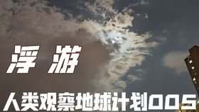 香港的九龙城寨,以前真的很乱吗