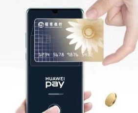 华为钱包是干什么用的