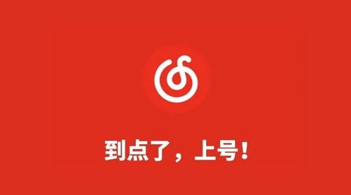 网易云音乐那个版本开始有开机广告