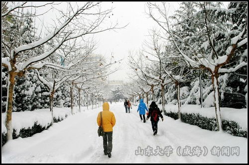 请问"回雪"是什么意思?