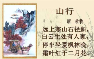鹣鲽怎么读什么意思