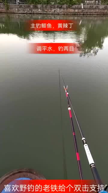 钓鱼的最佳时间段