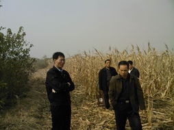 怎样测量土地面积