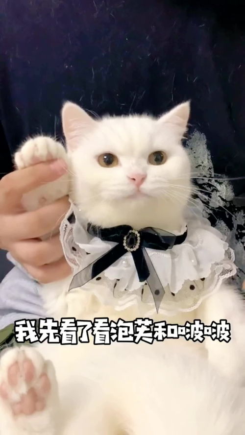 怎样追男生