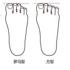 脚的形状