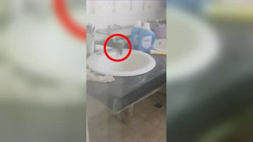 两个水，两个水是什么字 沝怎么读
