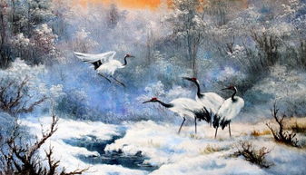 鹤雪的意思是什么?