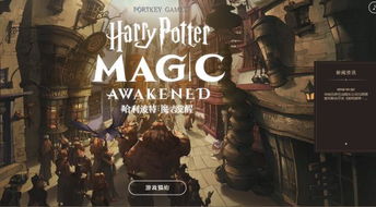 哈利波特魔法觉醒初始魔杖哈利波特魔法觉醒初始魔杖选择攻略