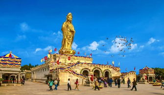南海普陀，南海普陀山旅游攻略