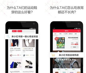 《小红书》网页版登录入口