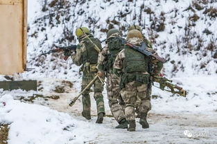 重步兵到底是什么意思