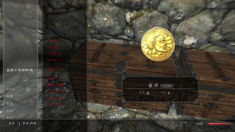 上古卷轴5控制台怎么用,我小白啊