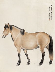 如何画马教程
