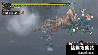 《怪物猎人2G》轻弩攻略之铠