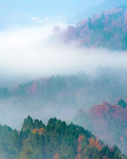 山与