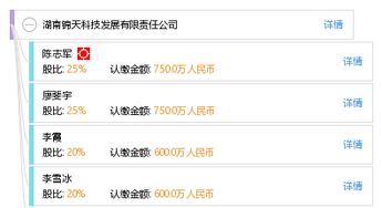 盛大游戏的旗下公司
