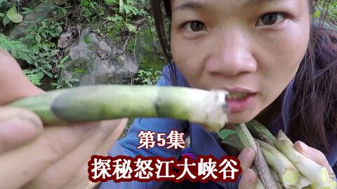 有个荒野求生能力很厉害的外国人叫什么来着?