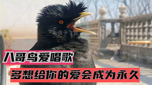 电视剧更新太慢了去哪能看到全集