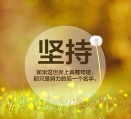坚持和努力，坚持和努力的句子