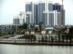 新沂城市论坛怎么发帖