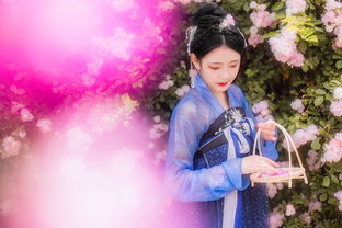 花的姿态，花的姿态歌词