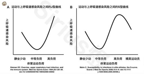 增强体，增强体质提高免疫力吃什么