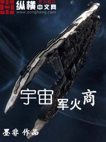 宇宙军火商，我成了宇宙军火商