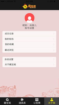 藏宝阁app，藏宝阁app登录不上