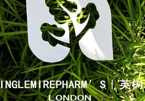 英树属于什么档次