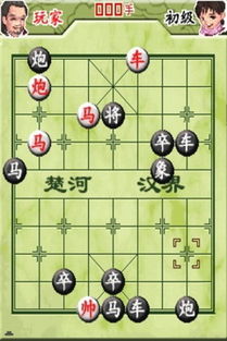 对弈象棋，对弈象棋软件