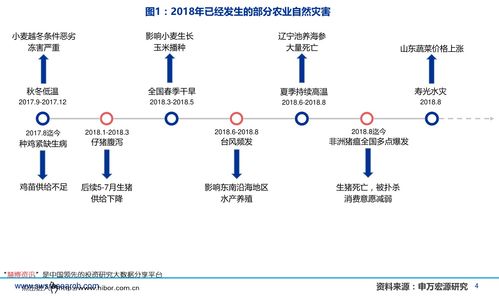 香港票房排行榜