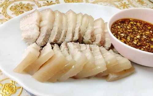 植物肉肉怎么写作文