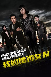 求一本名叫《我的黑道女友》的小说啊 小说的女主角叫陆佳是个黑道,男主