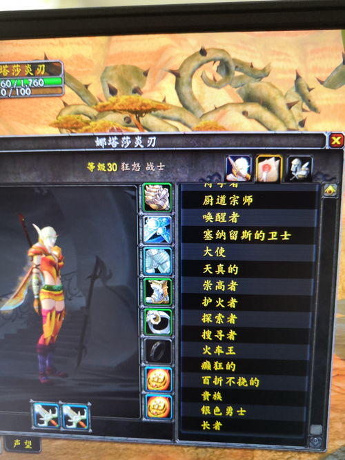 十字军头衔