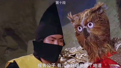 忍着，忍者神龟的师傅