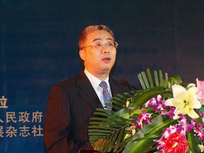 宋史杨畏传文言文翻译