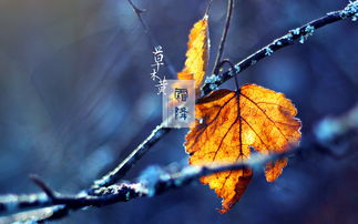 二十四节气壁纸，二十四节气壁纸古风