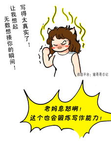 急急急,猪哥云财税软件如何使用?