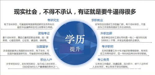 网络教育属于什么教育?
