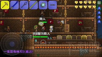 泰拉瑞亚武器、防具、饰品搭配有哪些?