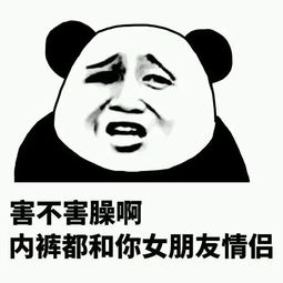 龙图是什么梗?