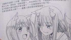 狼与羊皮纸 求无字