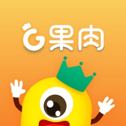 果肉网校现在还能看回放吗