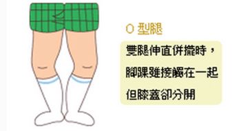 发育路，发育路是上路还是下路