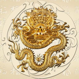 东方神龙乐园为什么不开了