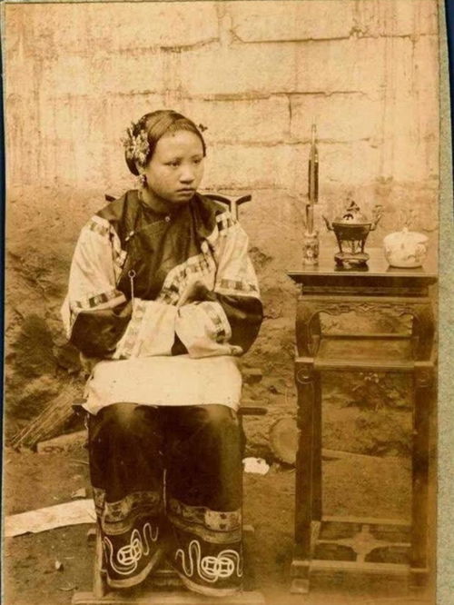 租妾,租妾 免费